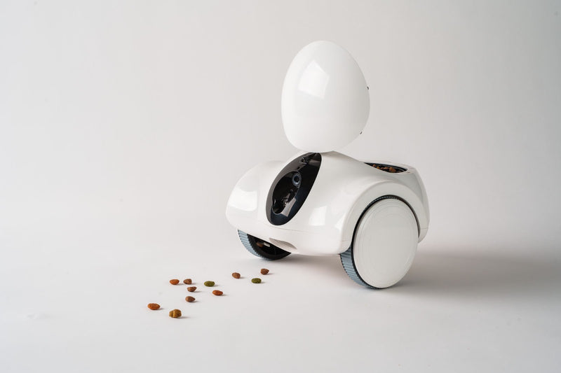 The GULIGULI Pet Companion Robot Gets Your Dog or Cat Moving