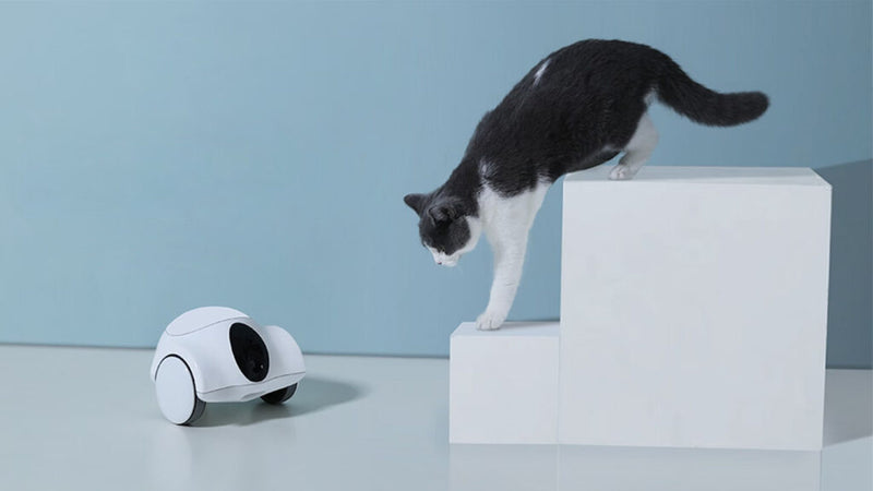 Care For Pets With These Innovations From CES 2023