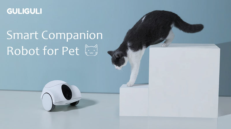 Spoil Your Pet 24/7 with a Smart Pet Companion Robot