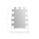 VANITII Hathaway Hollywood Slim Vanity Mirror with Wireless Charging  - 12 Dimmable LED Bulbs