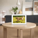 Homture Magic Frame