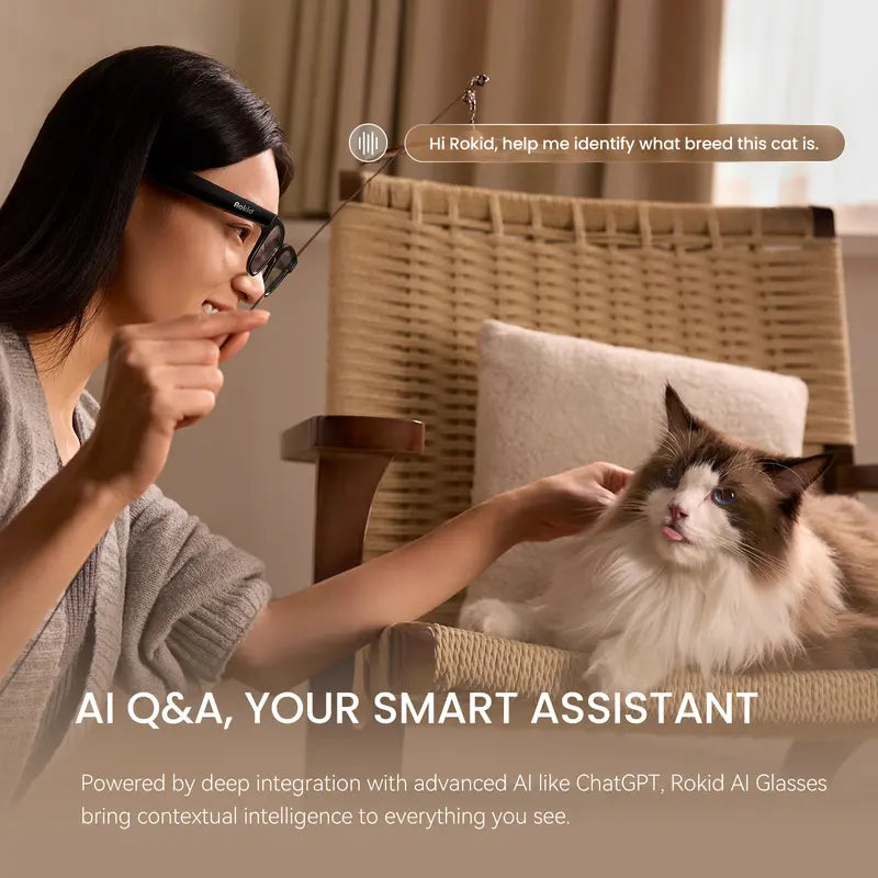 Rokid 2026 AI Glasses Style smart glasses with Gemini3 flash