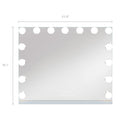 VANITII Mary Hollywood Vanity Mirror  - 15 Dimmable LED Bulbs