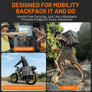 Litheli FrozenPack: The First Backpack Car Fridge