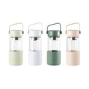 Buydeem CD1008 Portable Glass Tea Bottle with Infuser, 400ML
